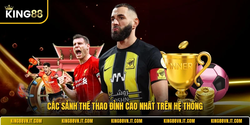 Các sảnh thể thao đỉnh cao nhất trên hệ thống