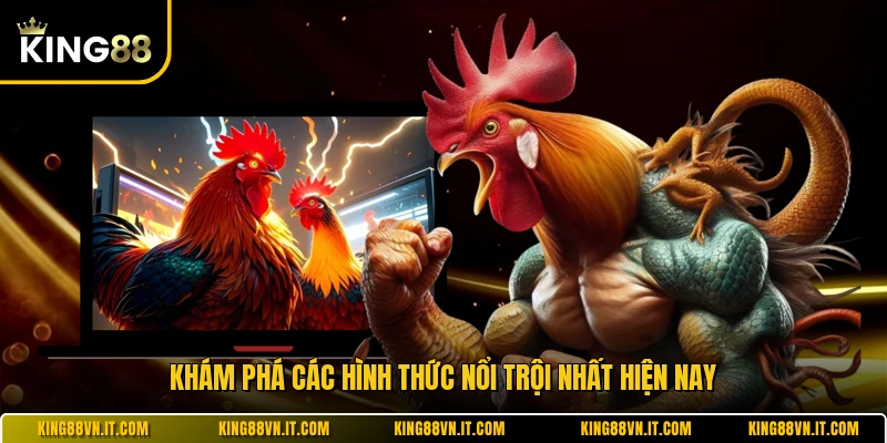Khám phá các hình thức nổi trội nhất hiện nay