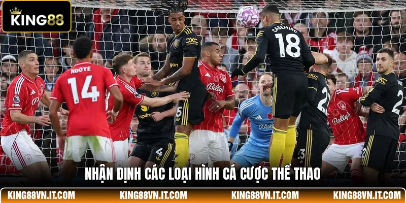 Nhận định các loại hình cá cược thể thao